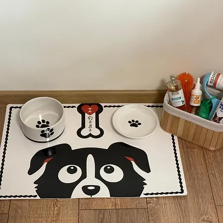 Appartement Aristizza Craiova